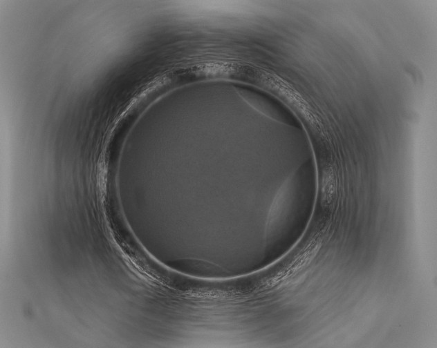 X0000112030722200908101338