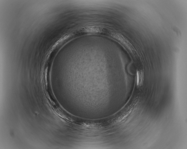 X0000112030723200908101338