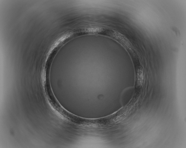 X0000112030726200908101338