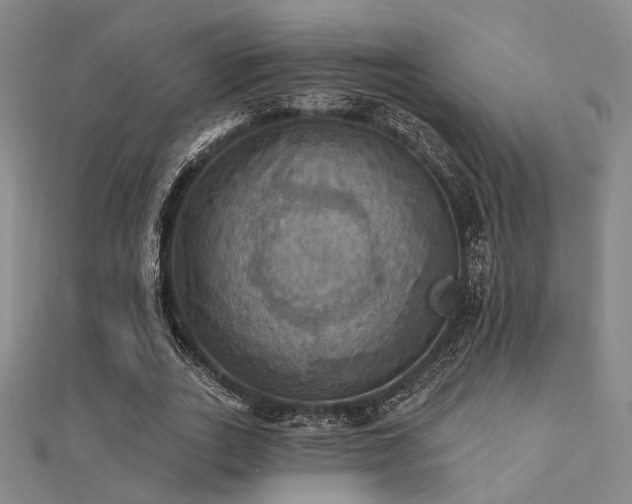 X0000112030727200908101338