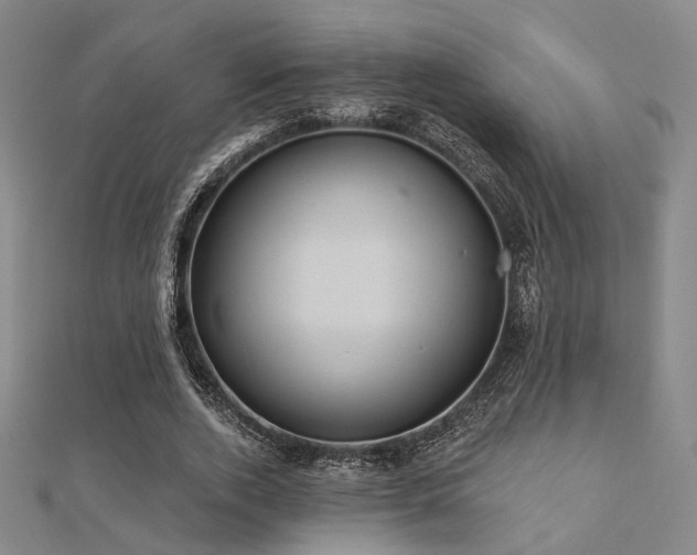 X0000112030728200908101338