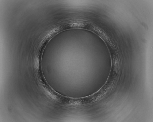 X0000112030729200908101338
