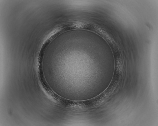 X0000112030730200908101338