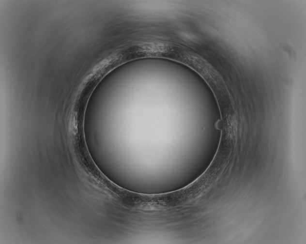 X0000112030731200908101338