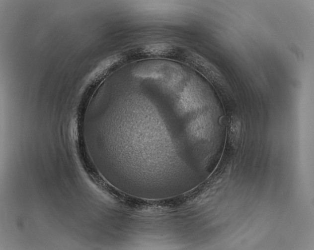 X0000112030734200908101338