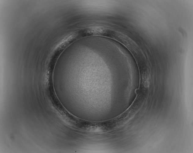 X0000112030735200908101338