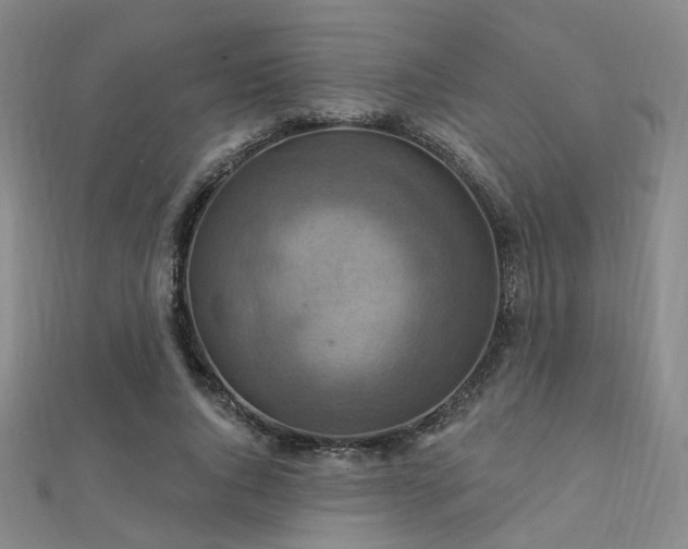 X0000112030736200908101338