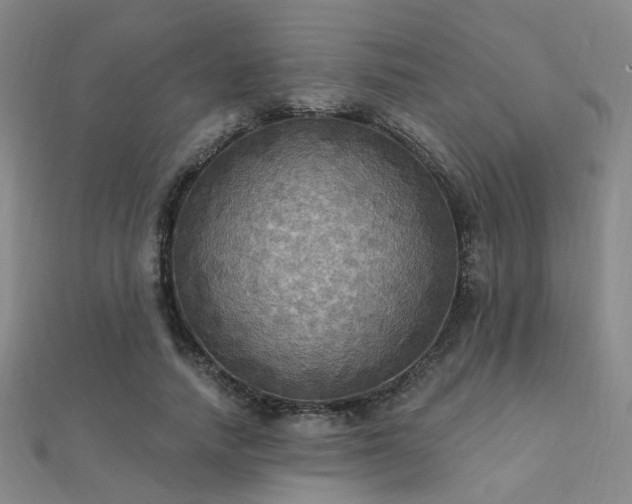 X0000112030738200908101338