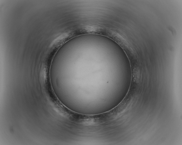X0000112030740200908101338