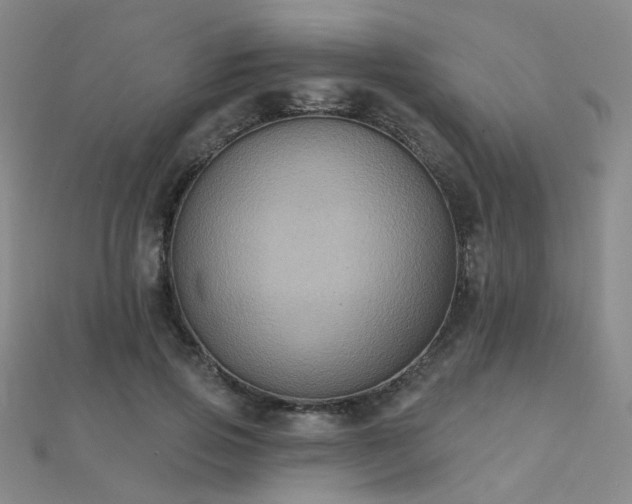X0000112030741200908101338