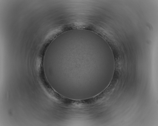 X0000112030742200908101338