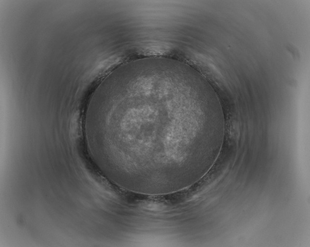 X0000112030743200908101338