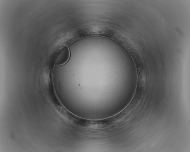 X0000112030746200908101338