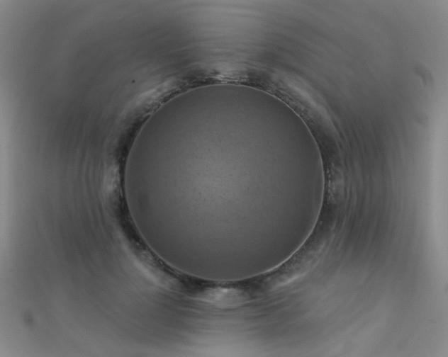 X0000112030748200908101338