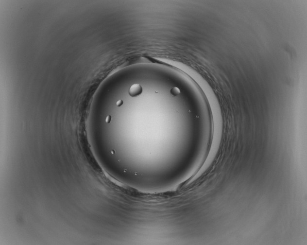 X0000112030750200908101338