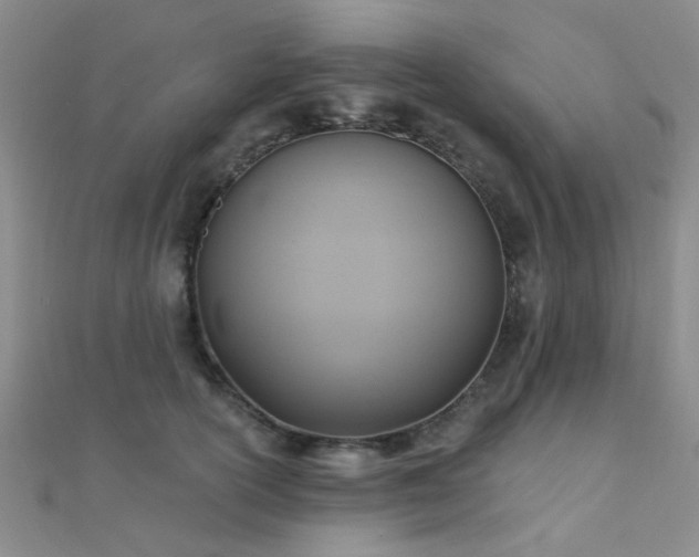 X0000112030754200908101338