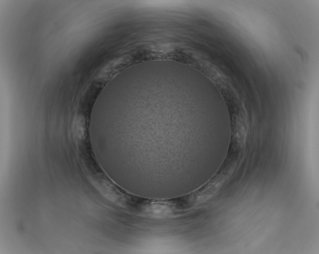 X0000112030758200908101338