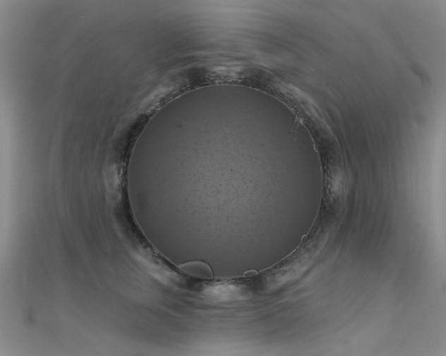 X0000112030759200908101338