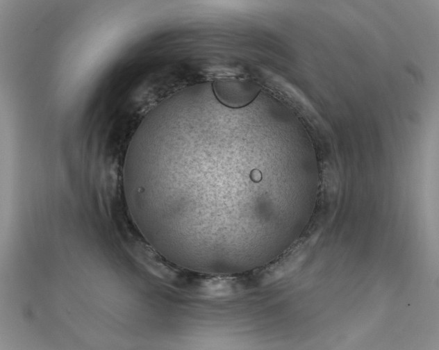 X0000112030761200908101338