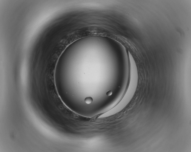 X0000112030764200908101338