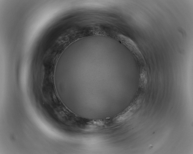 X0000112030765200908101339