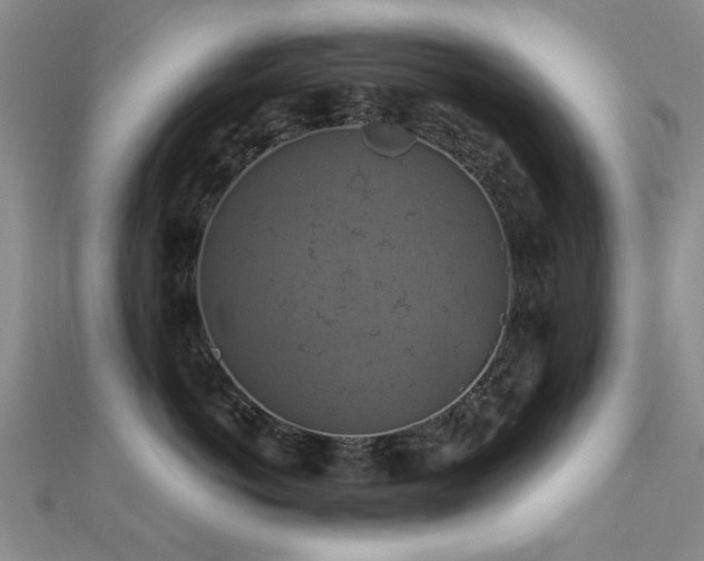 X0000112030766200908101339