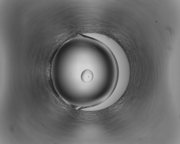 X0000112030768200908101339