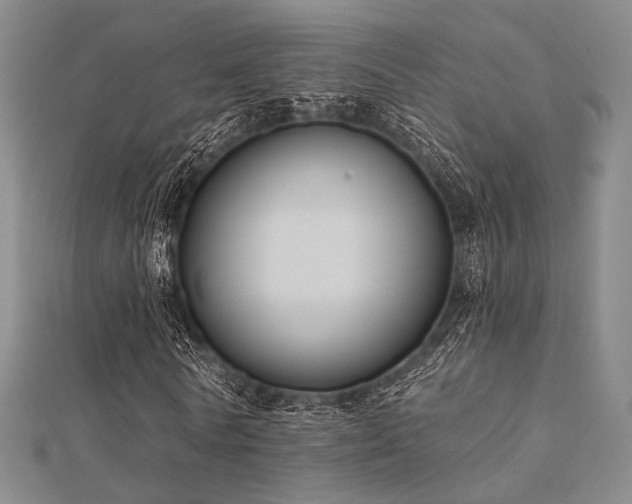 X0000112030770200908101338