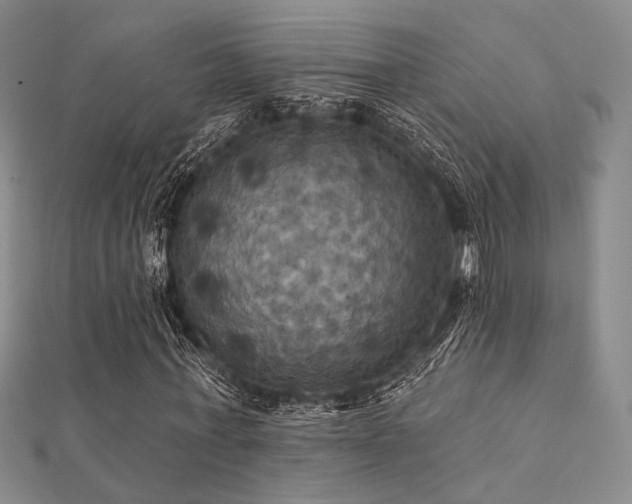 X0000112030771200908101338