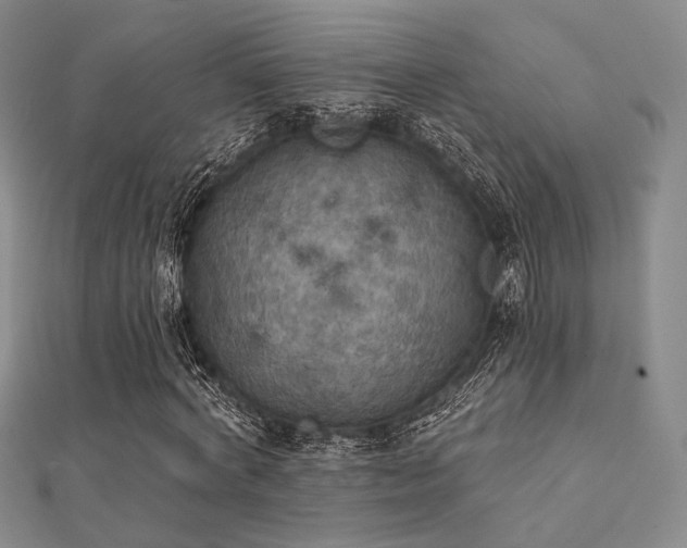 X0000112030772200908101338
