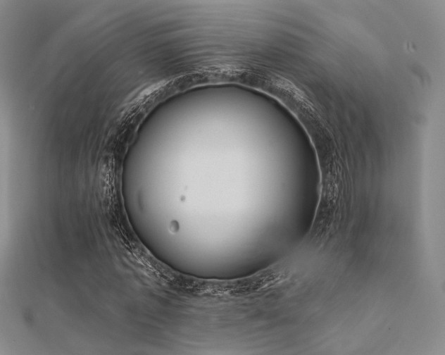 X0000112030773200908101338