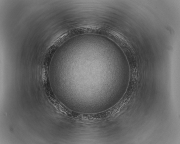X0000112030774200908101338