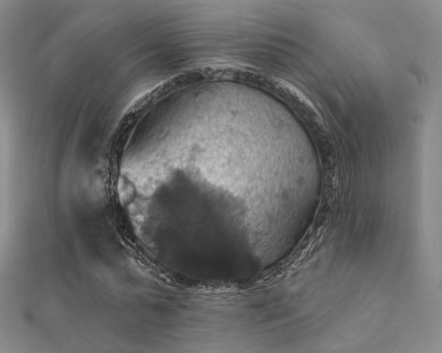 X0000112030775200908101338