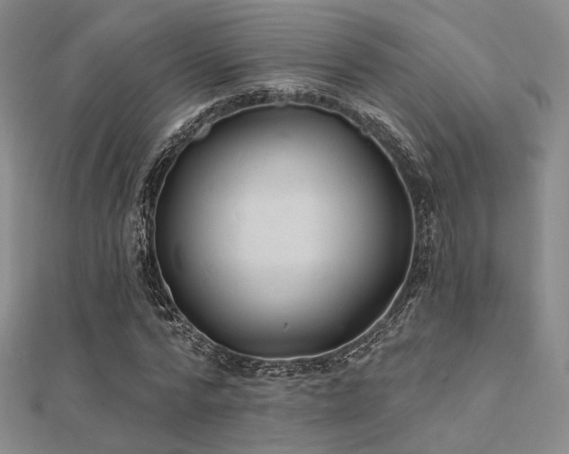X0000112030776200908101338
