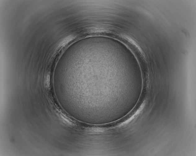 X0000112030777200908101338