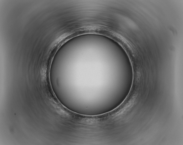 X0000112030778200908101338