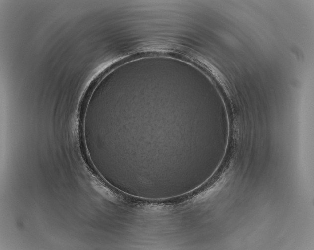 X0000112030779200908101338