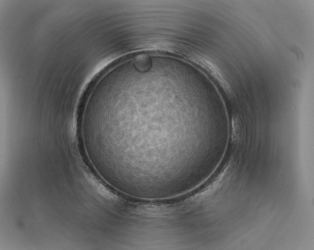 X0000112030780200908101338