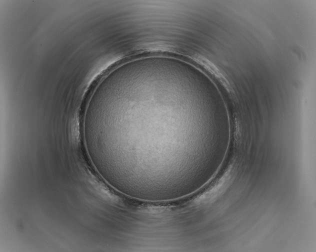 X0000112030782200908101338