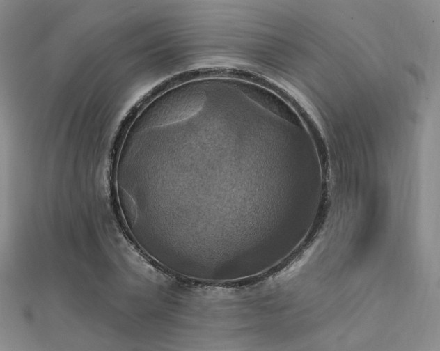 X0000112030783200908101338