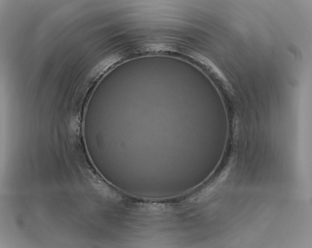 X0000112030785200908101338