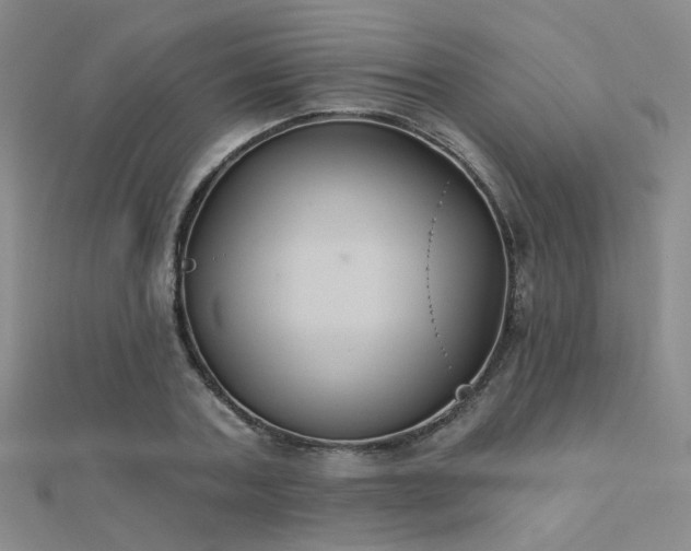 X0000112030787200908101338