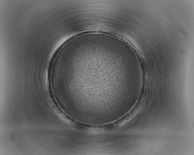 X0000112030788200908101338