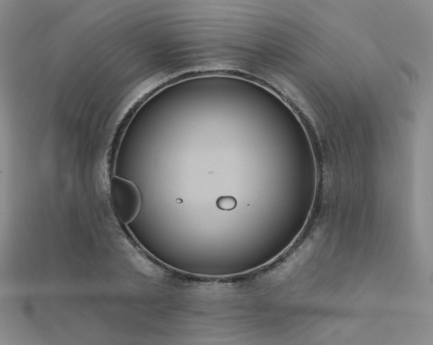 X0000112030789200908101338
