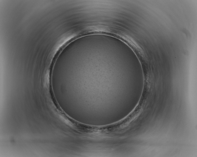 X0000112030790200908101337
