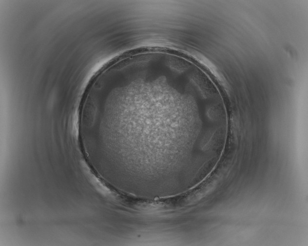 X0000112030791200908101337