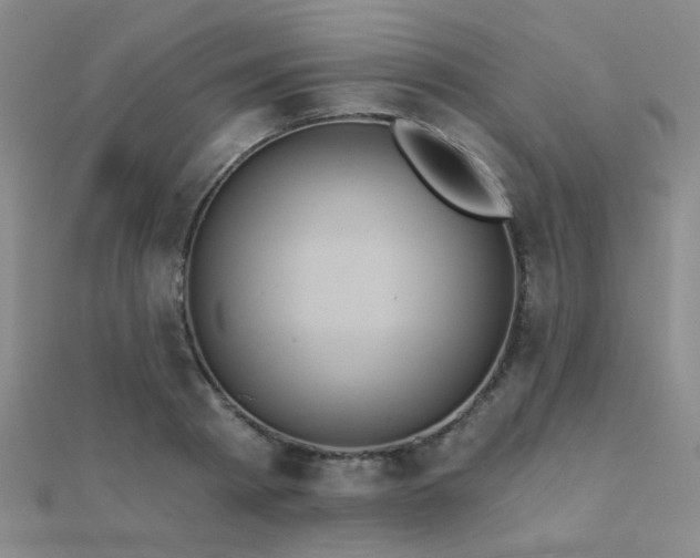 X0000112030793200908101337