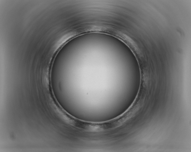 X0000112030794200908101337