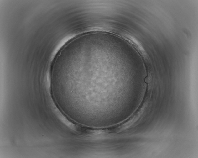 X0000112030796200908101337