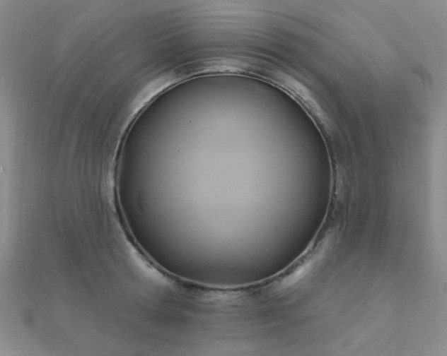 X0000112030802200908101337
